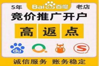 SEM竞价代运营实战技巧与案例